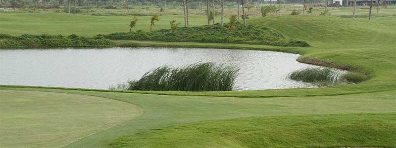 aavisa Edgewater golf