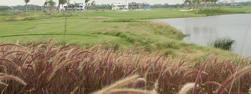 aavisa Edgewater golf